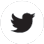 Twitter (X)